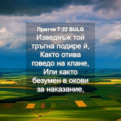 Picture 04 - Притчи 7:22 BULG - Изведнъж той тръгна подире - Bible Verse Picture