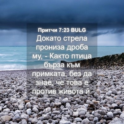 Picture 04 - Притчи 7:23 BULG - Докато стрела прониза - Bible Verse Picture
