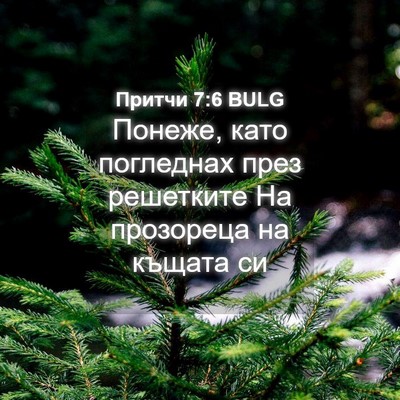 Picture 04 - Притчи 7:6 BULG - Понеже, като погледнах - Bible Verse Picture