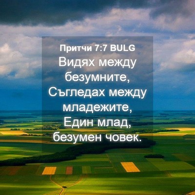 Picture 04 - Притчи 7:7 BULG - Видях между безумните, - Bible Verse Picture
