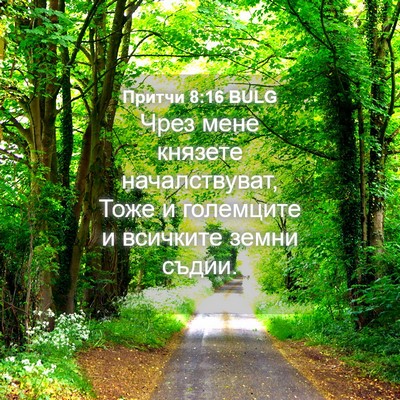 Picture 04 - Притчи 8:16 BULG - Чрез мене князете - Bible Verse Picture