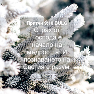 Picture 04 - Притчи 9:10 BULG - Страх от Господа е начало - Bible Verse Picture