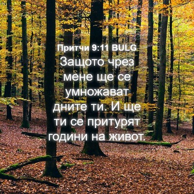 Picture 04 - Притчи 9:11 BULG - Защото чрез мене ще се - Bible Verse Picture