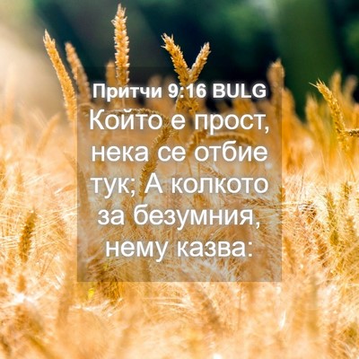 Picture 04 - Притчи 9:16 BULG - Който е прост, нека се - Bible Verse Picture
