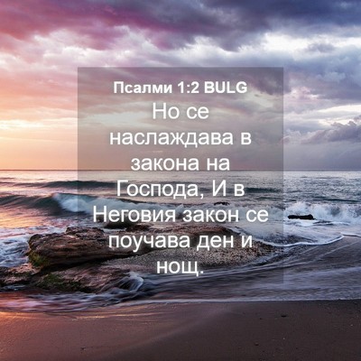 Picture 04 - Псалми 1:2 BULG - Но се наслаждава в закона - Bible Verse Picture