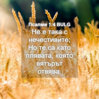 Picture 04 - Псалми 1:4 BULG - Не е така с нечестивите; Но - Bible Verse Picture