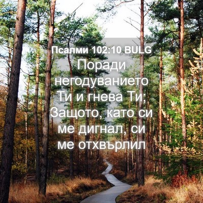 Picture 04 - Псалми 102:10 BULG - Поради негодуванието Ти и - Bible Verse Picture
