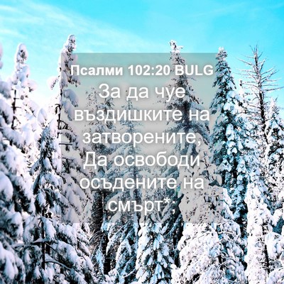 Picture 04 - Псалми 102:20 BULG - За да чуе въздишките на - Bible Verse Picture
