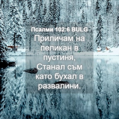 Picture 04 - Псалми 102:6 BULG - Приличам на пеликан в - Bible Verse Picture
