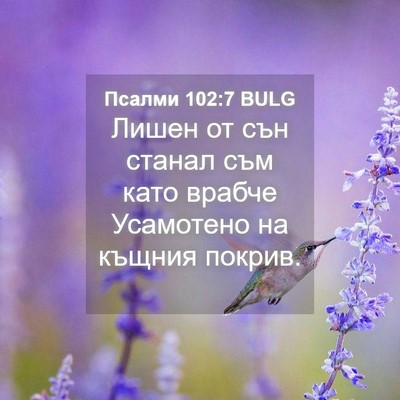 Picture 04 - Псалми 102:7 BULG - Лишен от сън станал съм - Bible Verse Picture