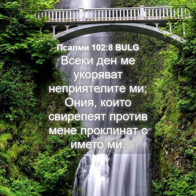 Picture 04 - Псалми 102:8 BULG - Всеки ден ме укоряват - Bible Verse Picture