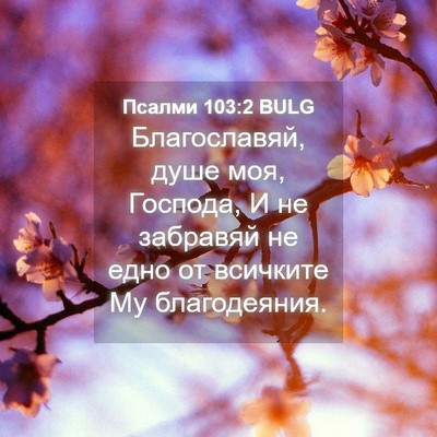 Picture 04 - Псалми 103:2 BULG - Благославяй, душе моя, - Bible Verse Picture