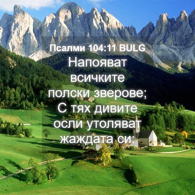 Picture 04 - Псалми 104:11 BULG - Напояват всичките полски - Bible Verse Picture