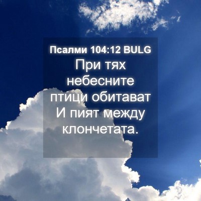Picture 04 - Псалми 104:12 BULG - При тях небесните птици - Bible Verse Picture