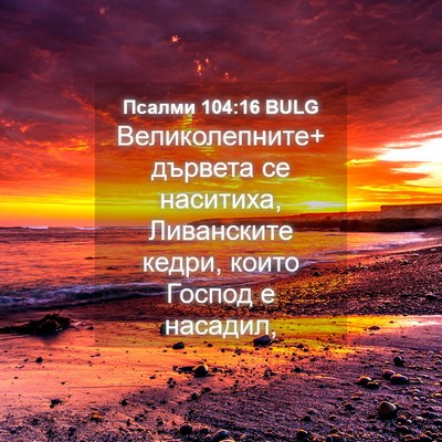 Picture 04 - Псалми 104:16 BULG - Великолепните+ дървета се - Bible Verse Picture