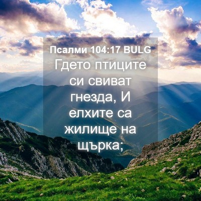 Picture 04 - Псалми 104:17 BULG - Гдето птиците си свиват - Bible Verse Picture