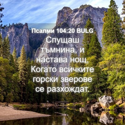 Picture 04 - Псалми 104:20 BULG - Спущаш тъмнина, и настава - Bible Verse Picture