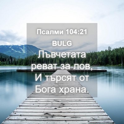 Picture 04 - Псалми 104:21 BULG - Лъвчетата реват за лов, И - Bible Verse Picture