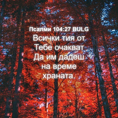 Picture 04 - Псалми 104:27 BULG - Всички тия от Тебе очакват - Bible Verse Picture