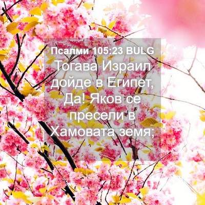 Picture 04 - Псалми 105:23 BULG - Тогава Израил дойде в - Bible Verse Picture