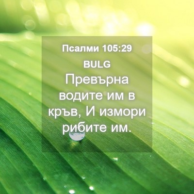 Picture 04 - Псалми 105:29 BULG - Превърна водите им в кръв, - Bible Verse Picture