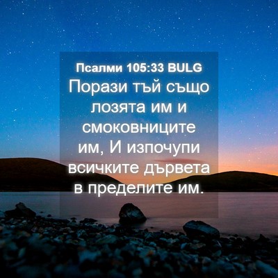 Picture 04 - Псалми 105:33 BULG - Порази тъй също лозята им и - Bible Verse Picture