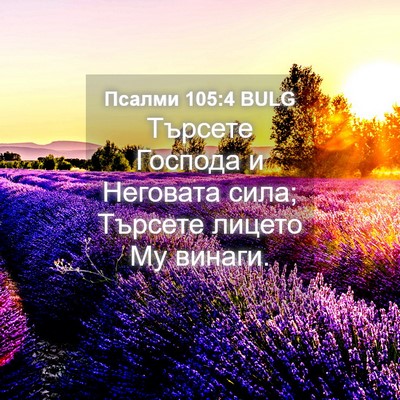 Picture 04 - Псалми 105:4 BULG - Търсете Господа и Неговата - Bible Verse Picture