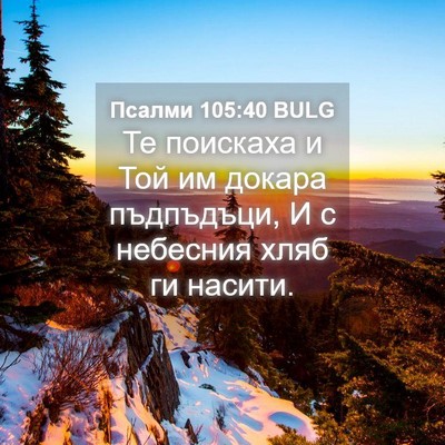 Picture 04 - Псалми 105:40 BULG - Те поискаха и Той им докара - Bible Verse Picture