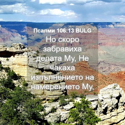 Picture 04 - Псалми 106:13 BULG - Но скоро забравиха делата - Bible Verse Picture