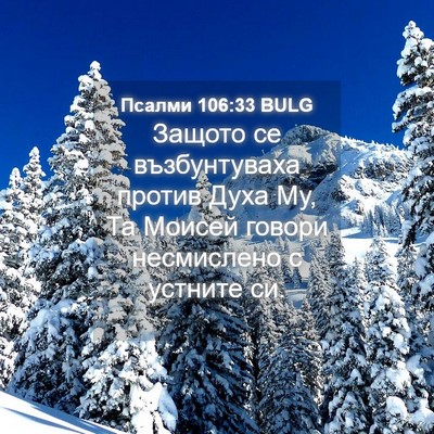Picture 04 - Псалми 106:33 BULG - Защото се възбунтуваха - Bible Verse Picture