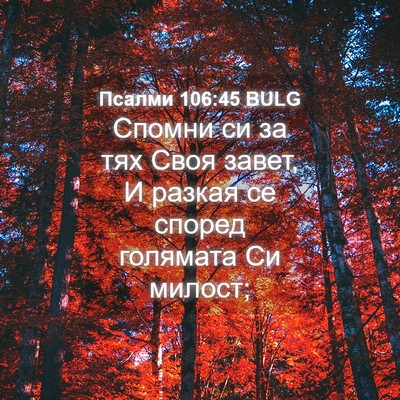 Picture 04 - Псалми 106:45 BULG - Спомни си за тях Своя - Bible Verse Picture