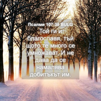 Picture 04 - Псалми 107:38 BULG - Той ги и благославя, тъй - Bible Verse Picture