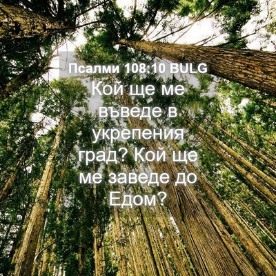 Picture 04 - Псалми 108:10 BULG - Кой ще ме въведе в - Bible Verse Picture
