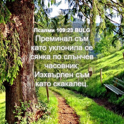 Picture 04 - Псалми 109:23 BULG - Преминал съм като уклонила - Bible Verse Picture