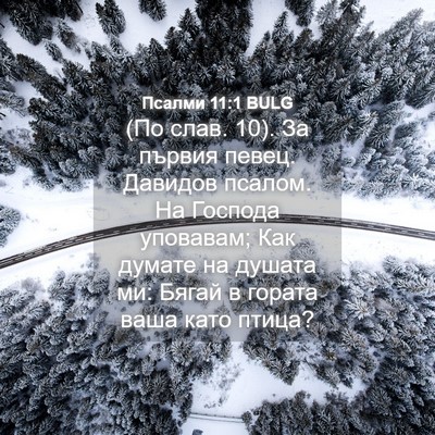 Picture 04 - Псалми 11:1 BULG - (По слав. 10). За първия - Bible Verse Picture