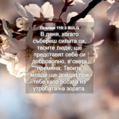 Picture 04 - Псалми 110:3 BULG - В деня, когато събереш - Bible Verse Picture