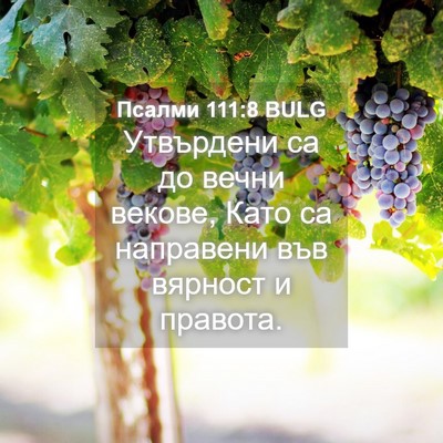 Picture 04 - Псалми 111:8 BULG - Утвърдени са до вечни - Bible Verse Picture