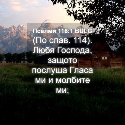 Picture 04 - Псалми 116:1 BULG - (По слав. 114). Любя Господа, - Bible Verse Picture