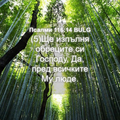 Picture 04 - Псалми 116:14 BULG - (5)Ще изпълня обреците си - Bible Verse Picture