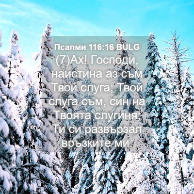 Picture 04 - Псалми 116:16 BULG - (7)Ах! Господи, наистина аз - Bible Verse Picture
