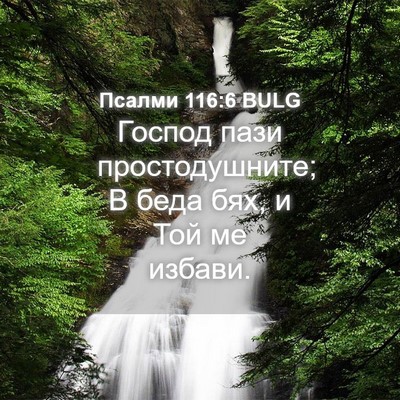 Picture 04 - Псалми 116:6 BULG - Господ пази простодушните; - Bible Verse Picture