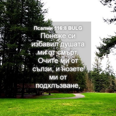 Picture 04 - Псалми 116:8 BULG - Понеже си избавил душата - Bible Verse Picture