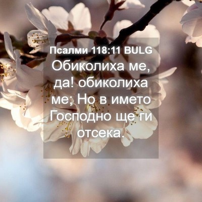 Picture 04 - Псалми 118:11 BULG - Обиколиха ме, да! обиколиха - Bible Verse Picture