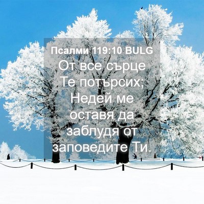 Picture 04 - Псалми 119:10 BULG - От все сърце Те потърсих; - Bible Verse Picture