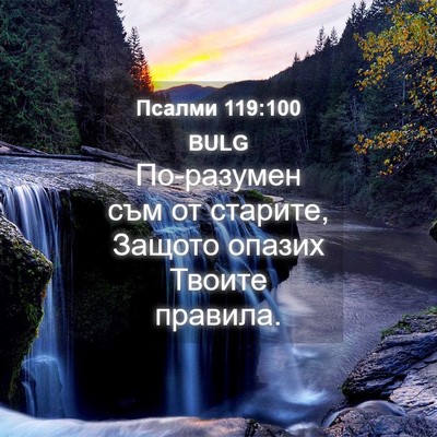 Picture 04 - Псалми 119:100 BULG - По-разумен съм от старите, - Bible Verse Picture
