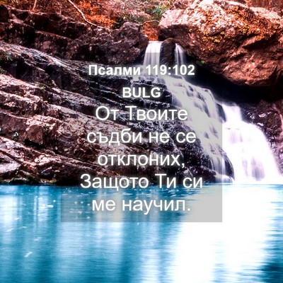 Picture 04 - Псалми 119:102 BULG - От Твоите съдби не се - Bible Verse Picture