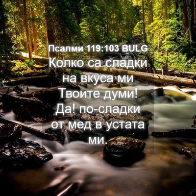 Picture 04 - Псалми 119:103 BULG - Колко са сладки на вкуса ми - Bible Verse Picture