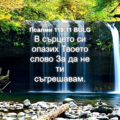 Picture 04 - Псалми 119:11 BULG - В сърцето си опазих Твоето - Bible Verse Picture