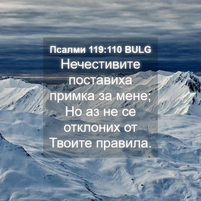 Picture 04 - Псалми 119:110 BULG - Нечестивите поставиха - Bible Verse Picture