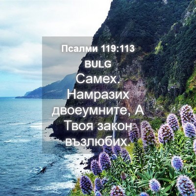 Picture 04 - Псалми 119:113 BULG - Самех. Намразих - Bible Verse Picture